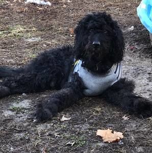 Meet your Posher, Jack